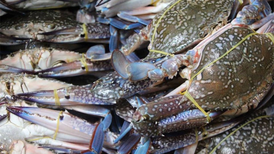 China emerges as largest buyer of Vietnamese crabs in Q1